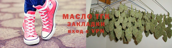 крисы Корсаков