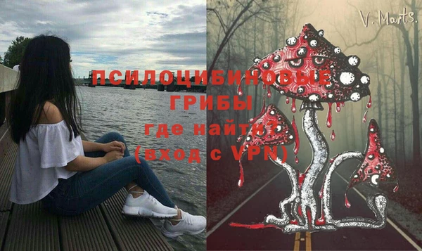 бутират Баксан