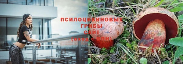 бутират Баксан