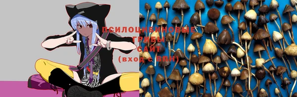 бутират Баксан