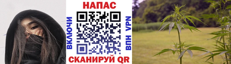 сколько стоит  Лермонтов  Бошки марихуана тримм 
